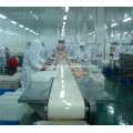 poultry processing line of belt conveyor